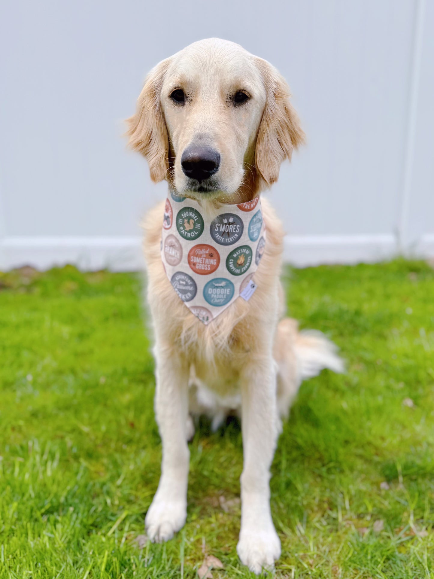 Dog Scout Badges Bandana