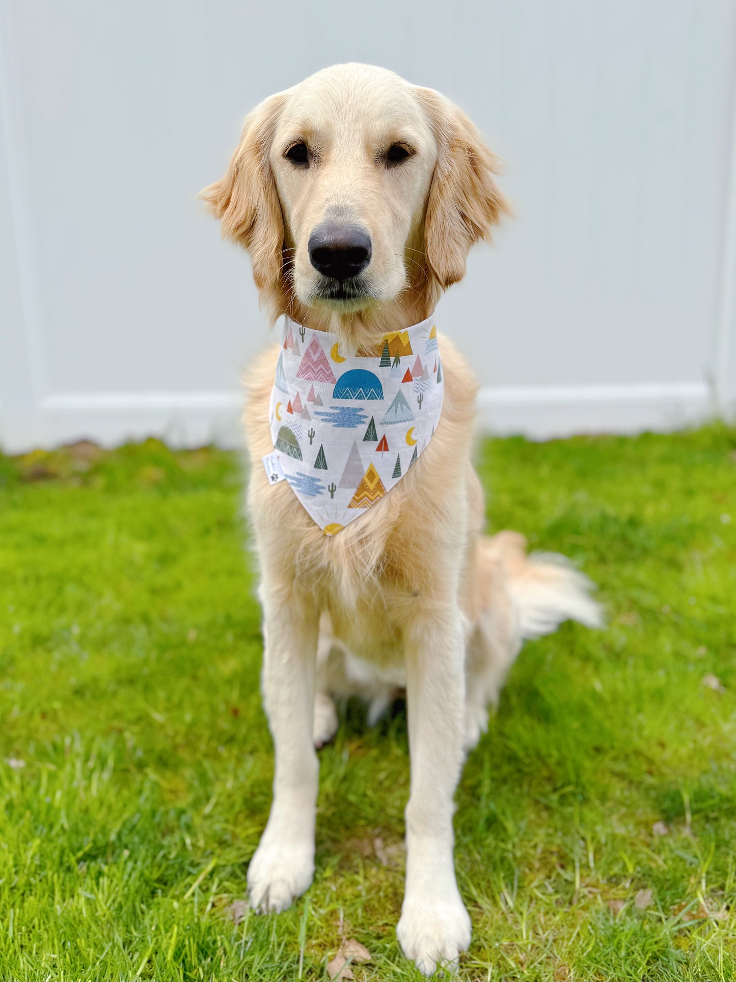 Dog Scout Badges Bandana