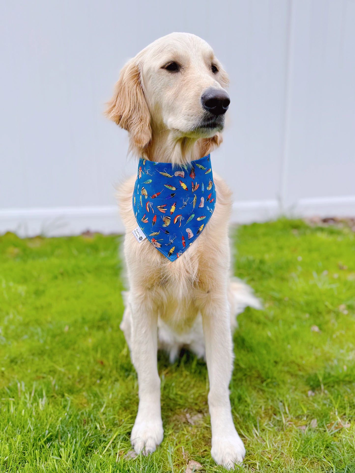 Fishing Time Bandana