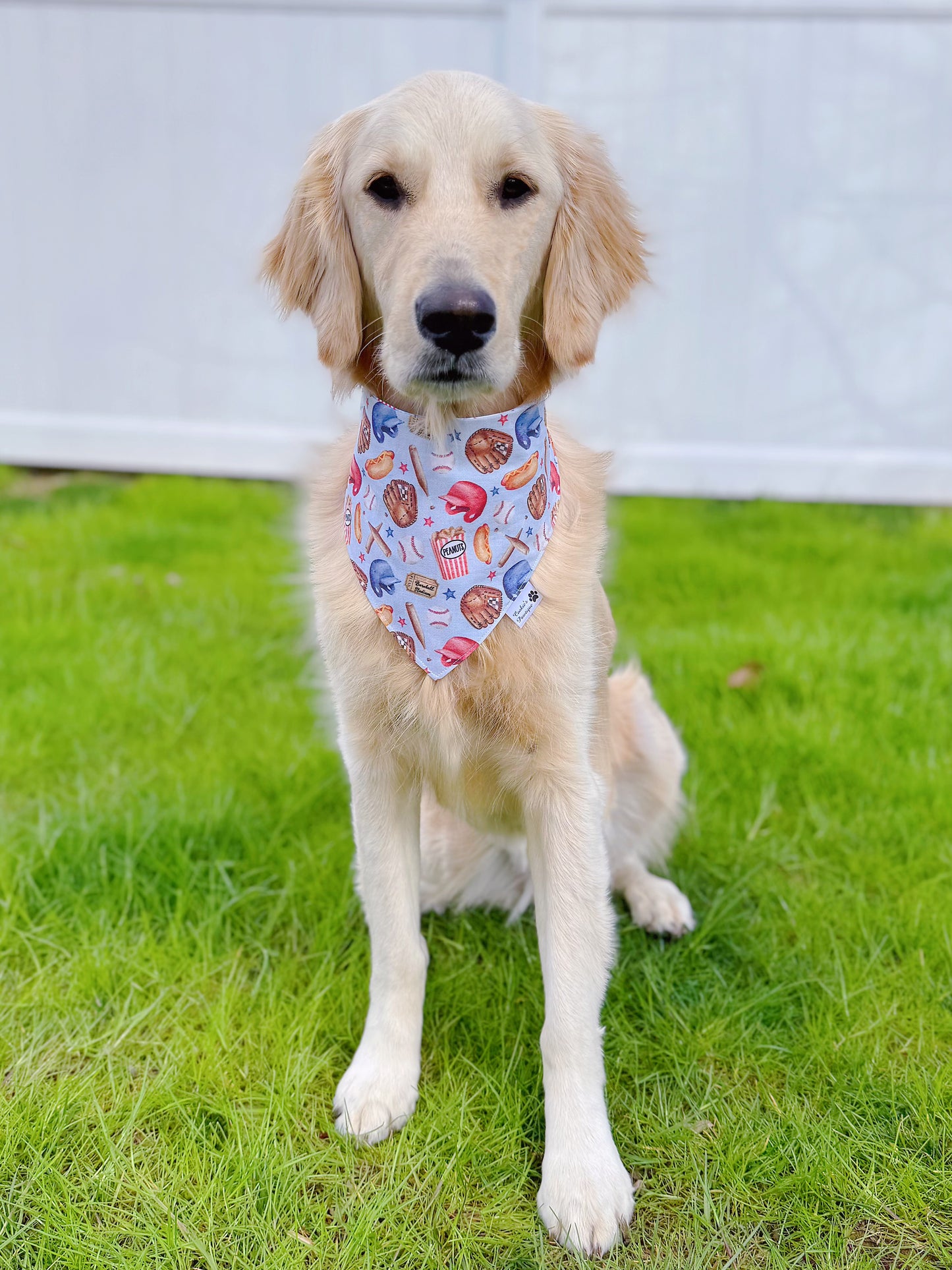 Patriotic Baseball Bandana