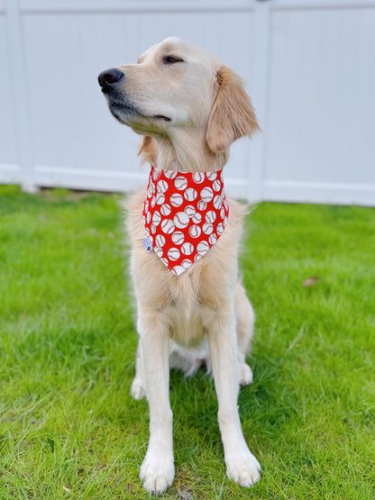 Boho Baseball Bandana