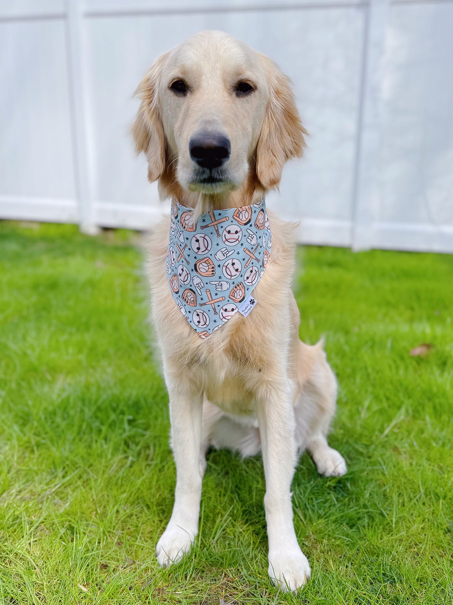 Happy Baseball Bandana