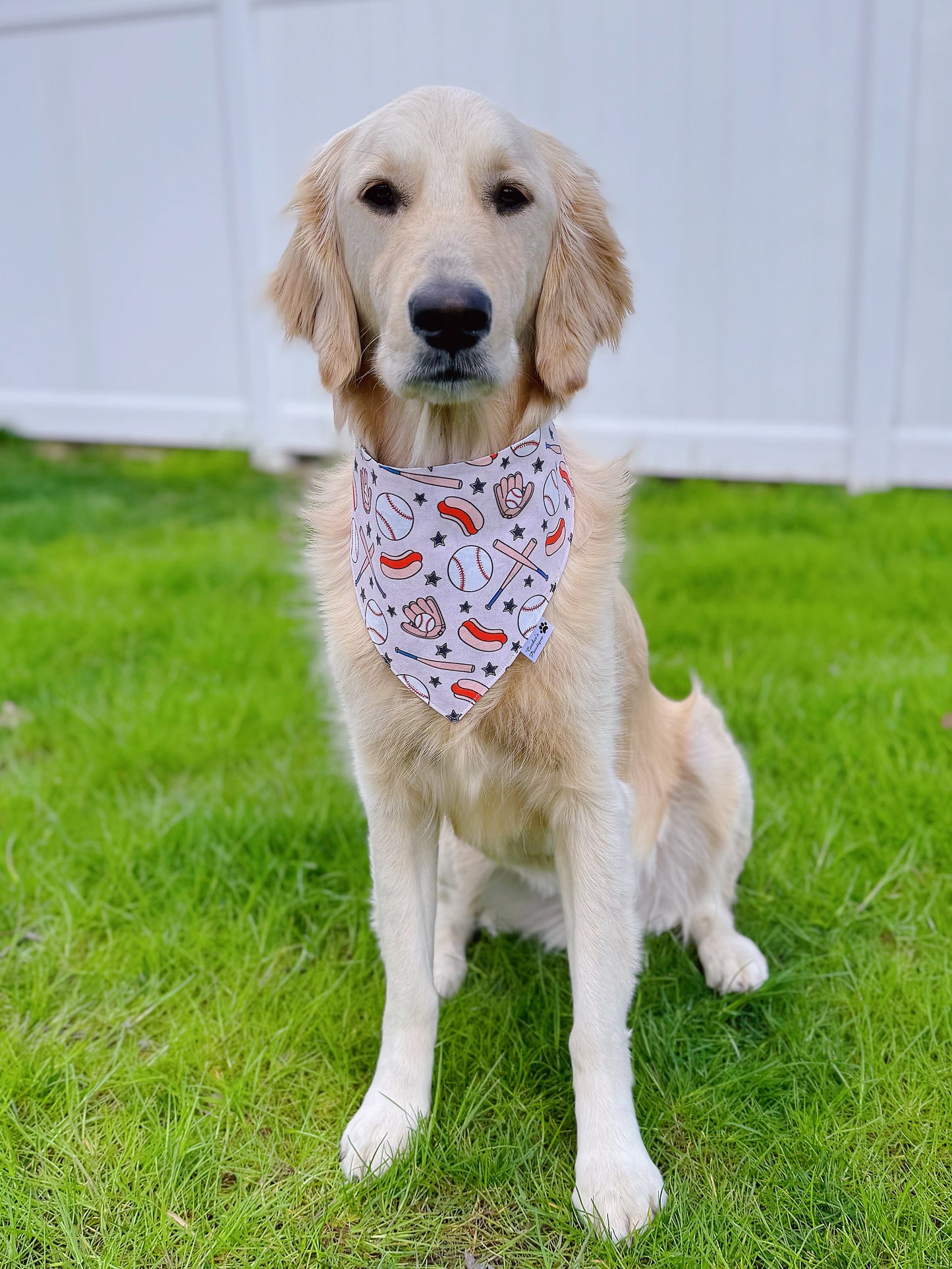 Baseball Season Bandana