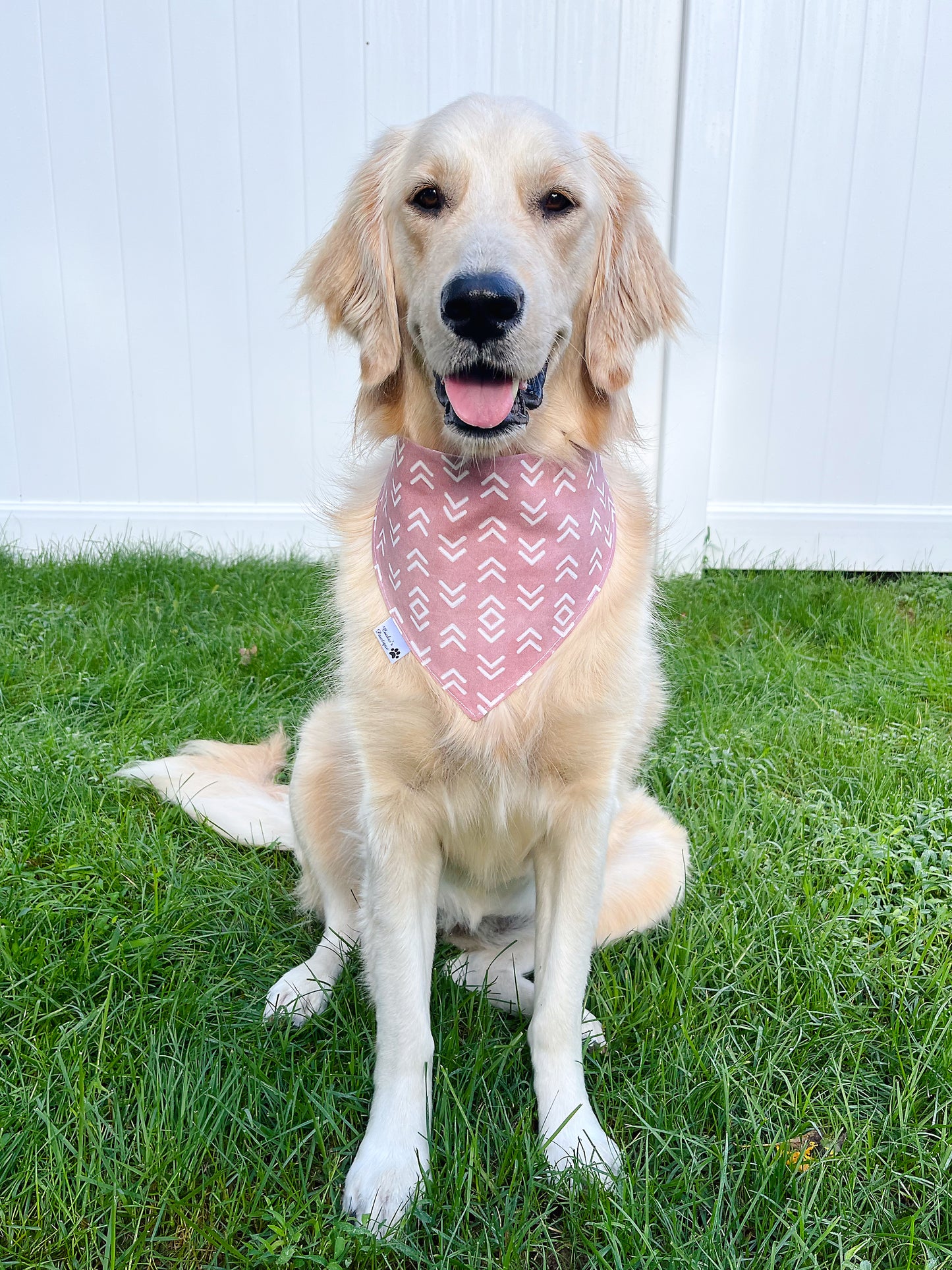 Little Sister Bandana