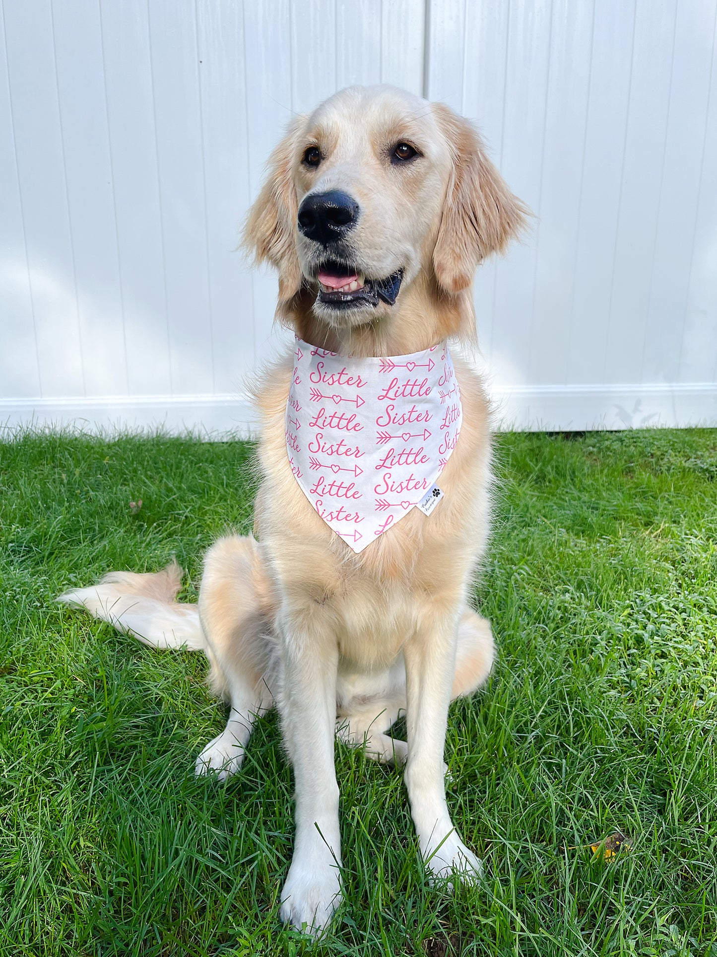 Little Sister Bandana