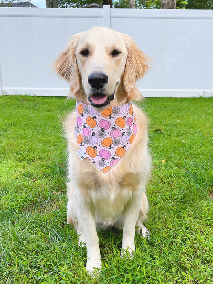 Doggy Halloween Pawty And Pumpkins Bandana