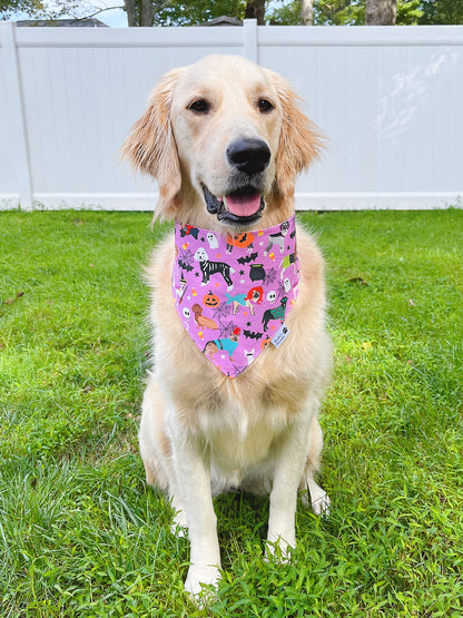 Doggy Halloween Pawty And Pumpkins Bandana