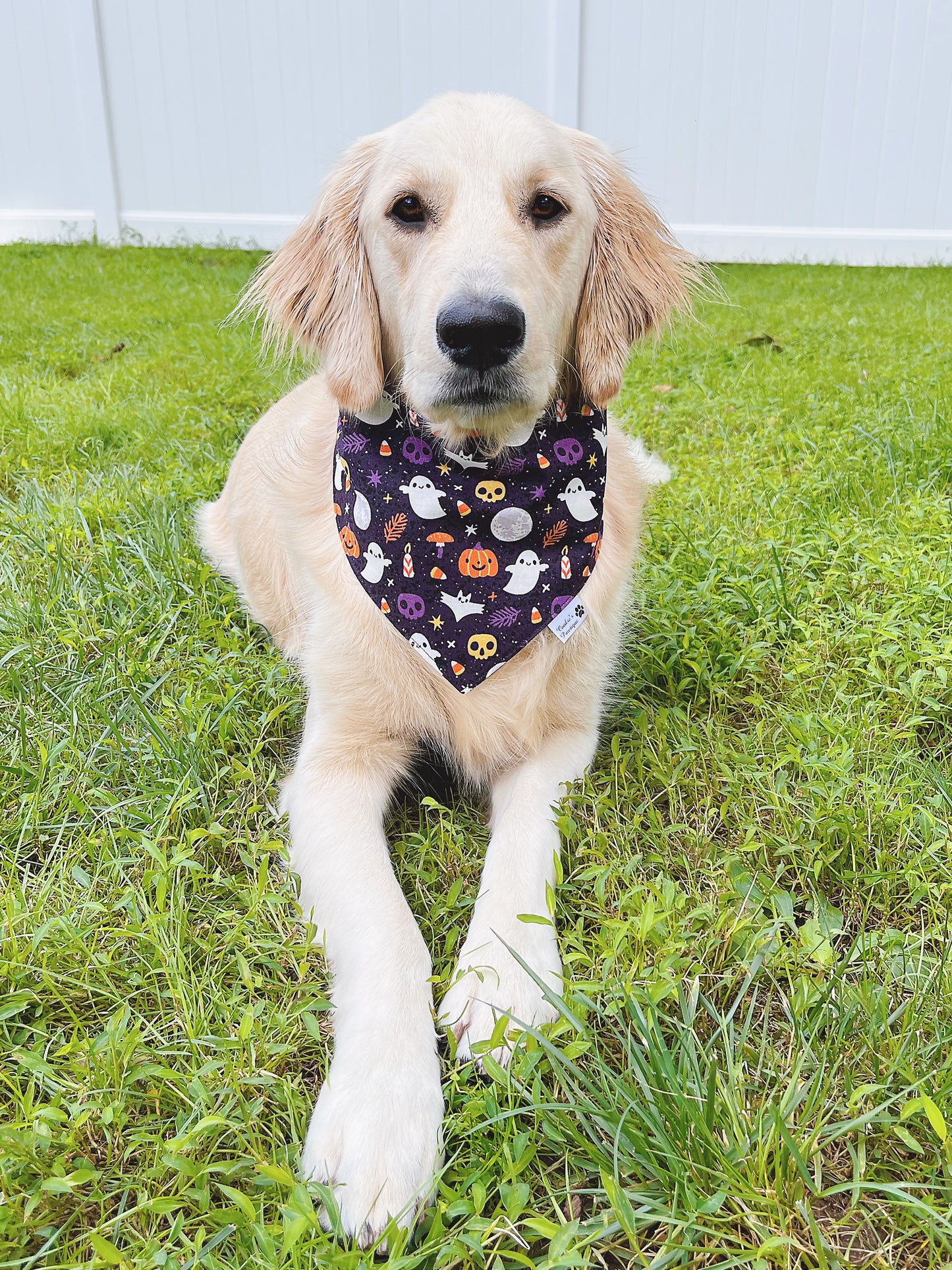 Happy Ghosts And Pumpkins Bandana