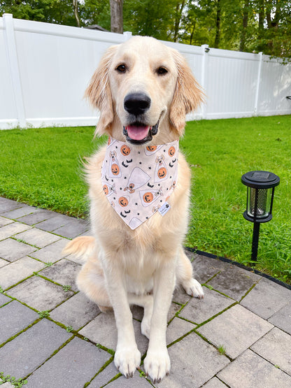 Doggo Treat And Checkerboard Pumpkins Bandana