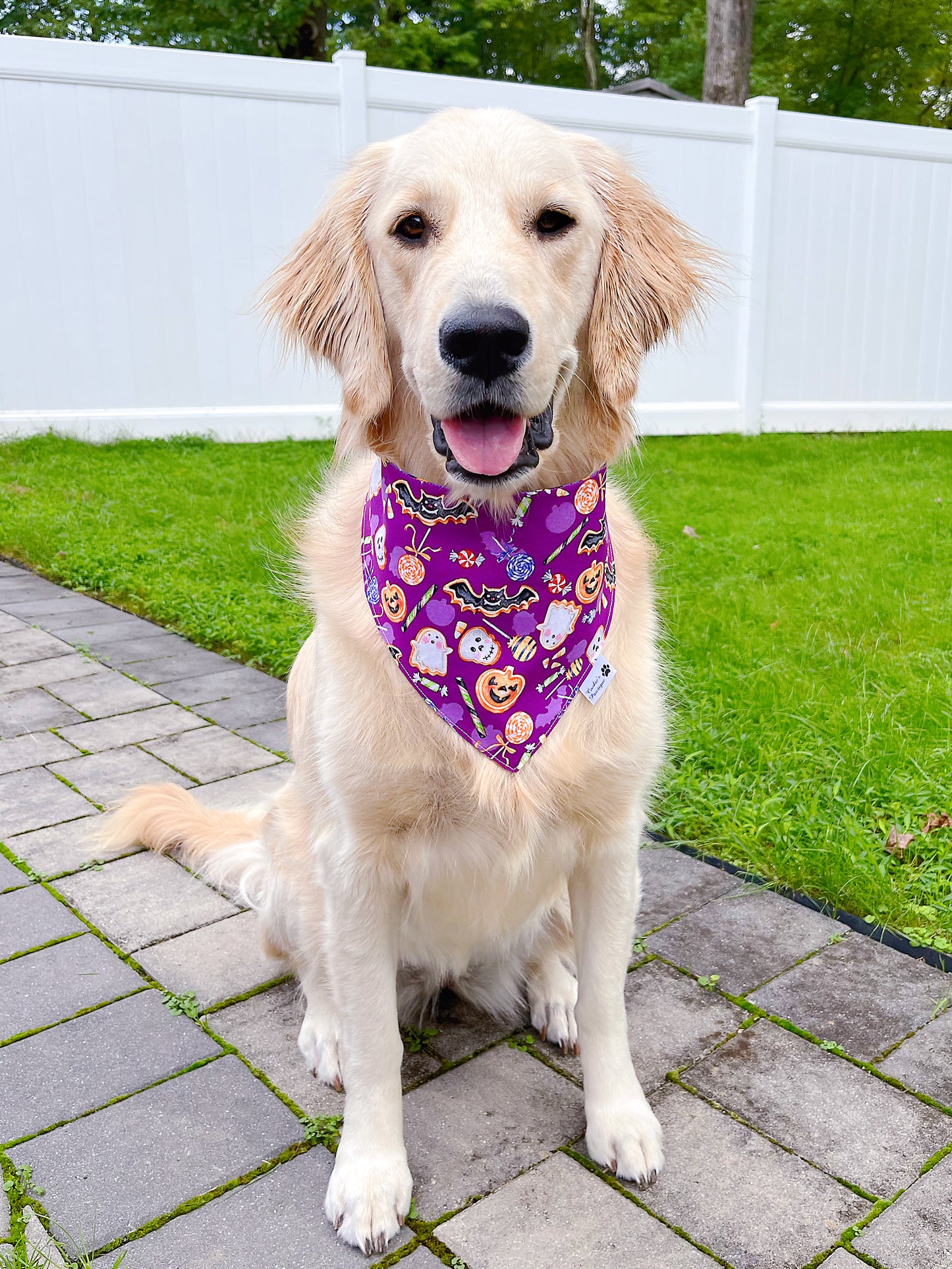 Halloween Cookie Treats And Candy Corn Bandana