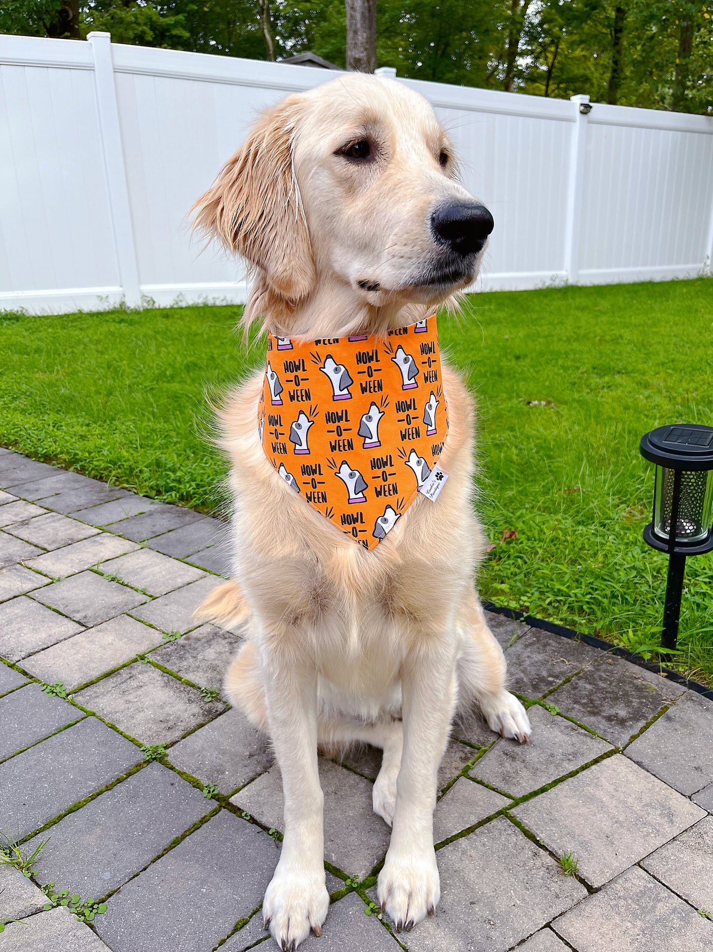 Howl-O-Ween And Pumpkin Candy Corn Bandana