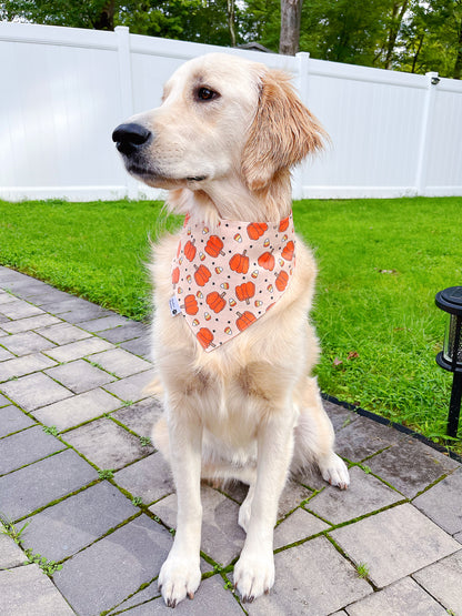 Howl-O-Ween And Pumpkin Candy Corn Bandana