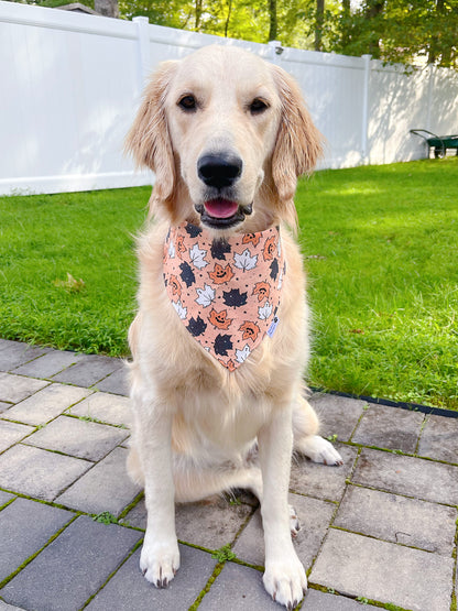 Halloween Leaves Bandana