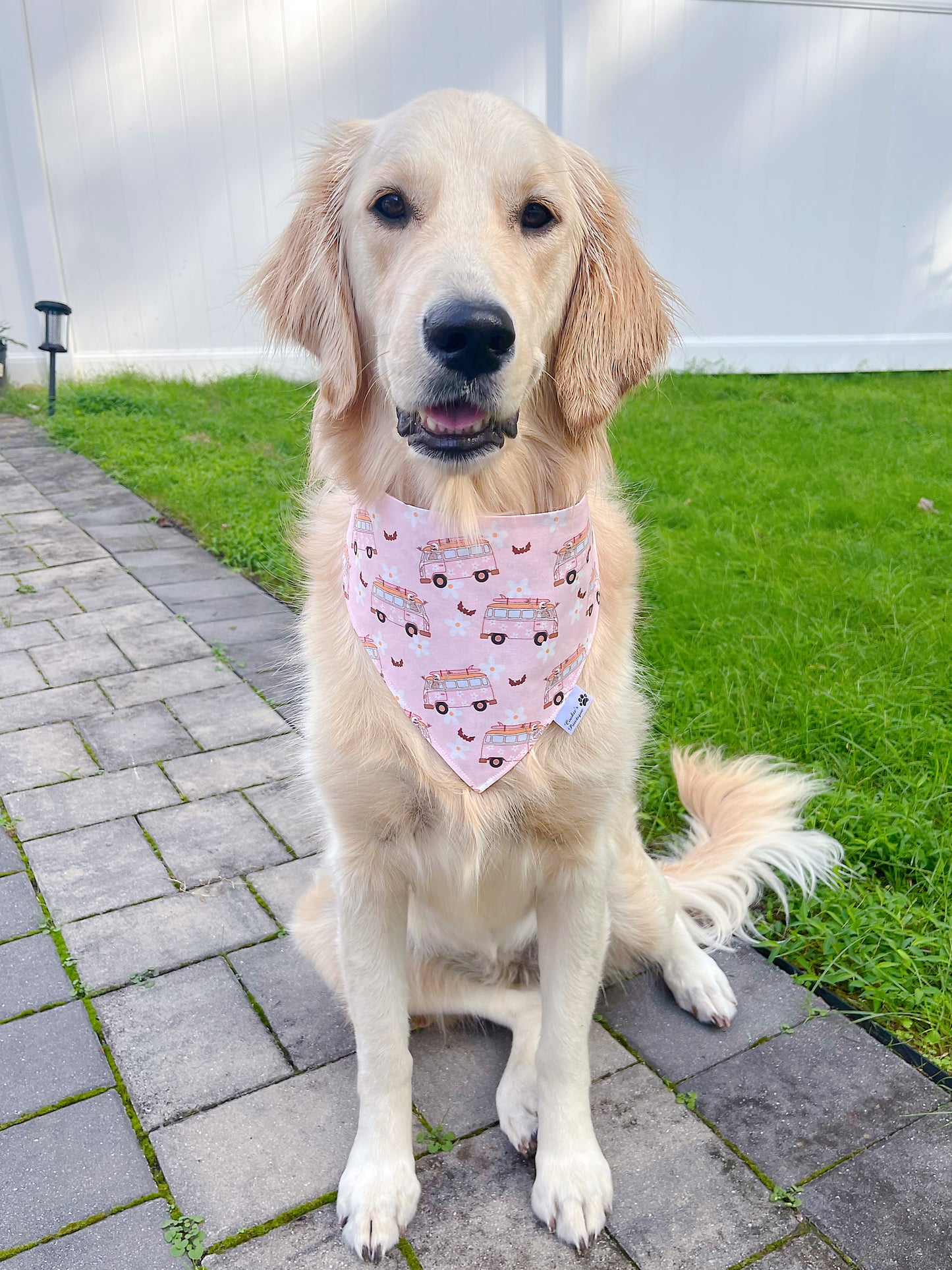 Halloween Van And Trick Or Treat Bandana