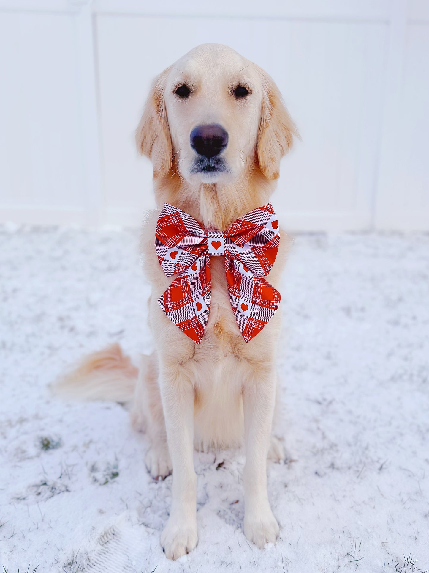 Red Plaid Hearts Bow