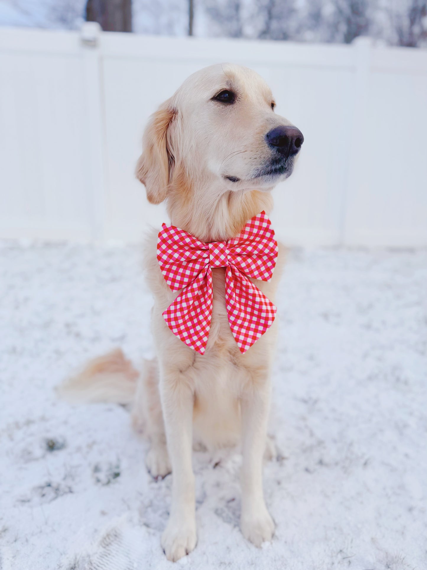 Red Gingham Bow