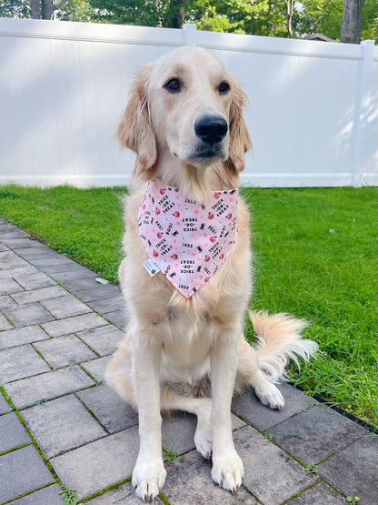 Halloween Van And Trick Or Treat Bandana