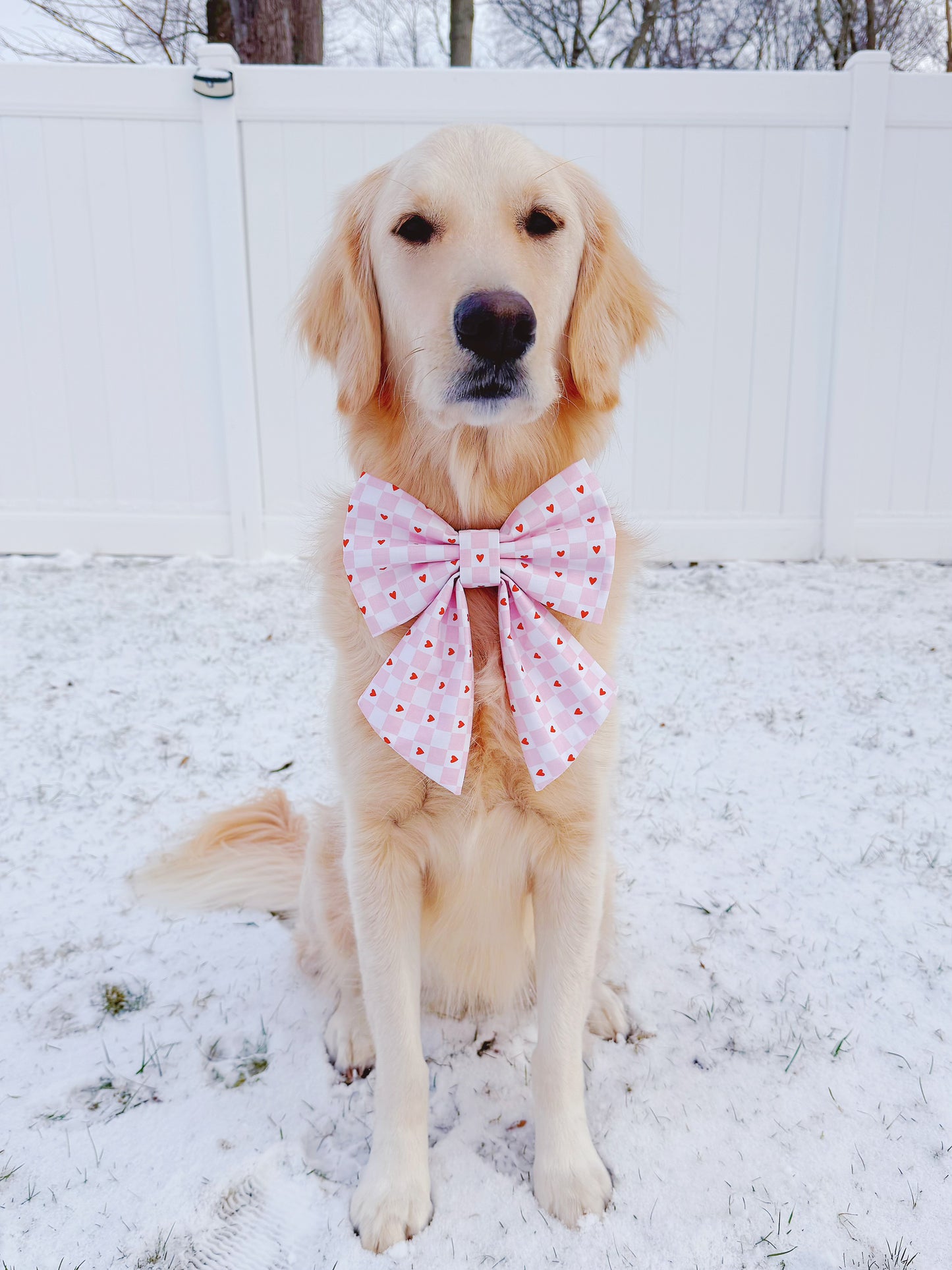 Valentine Checkered Hearts Bow