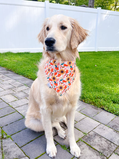 Fall Sunflower Ghost Bandana