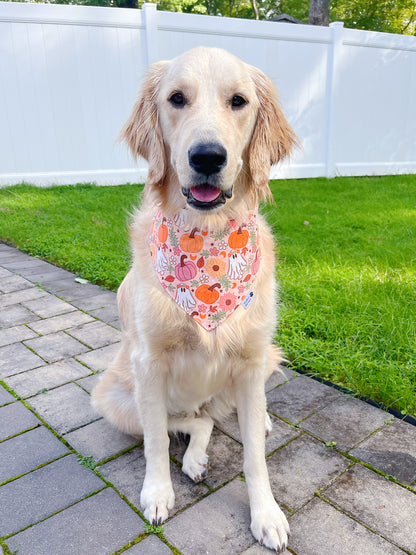 Fall Sunflower Ghost Bandana