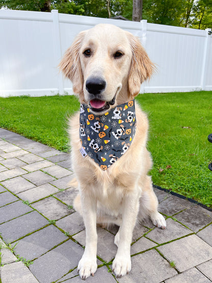 Happy Halloween Bandana