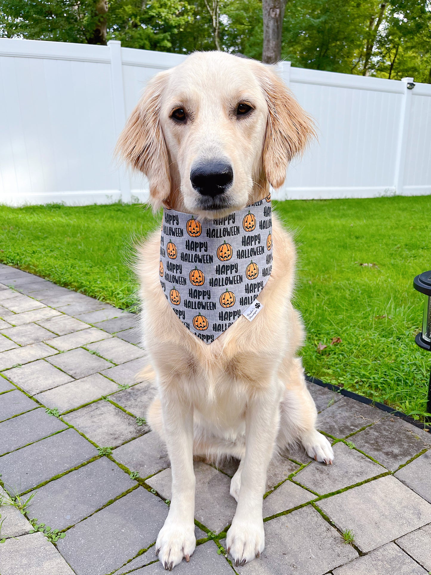 Happy Halloween Bandana