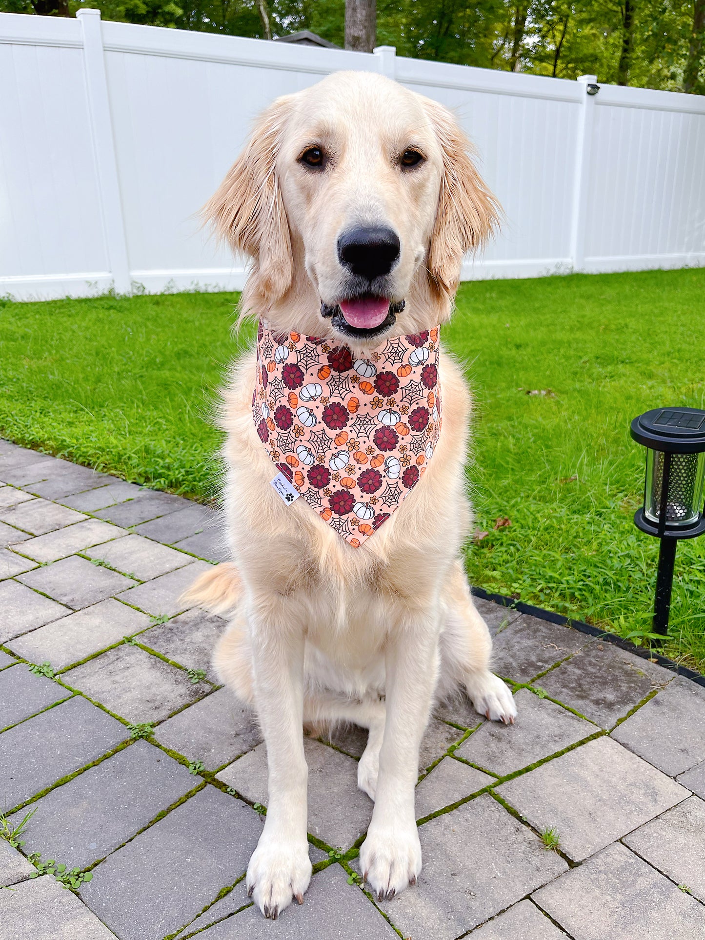 Fall Pumpkin Ghosts And Floral Bandana