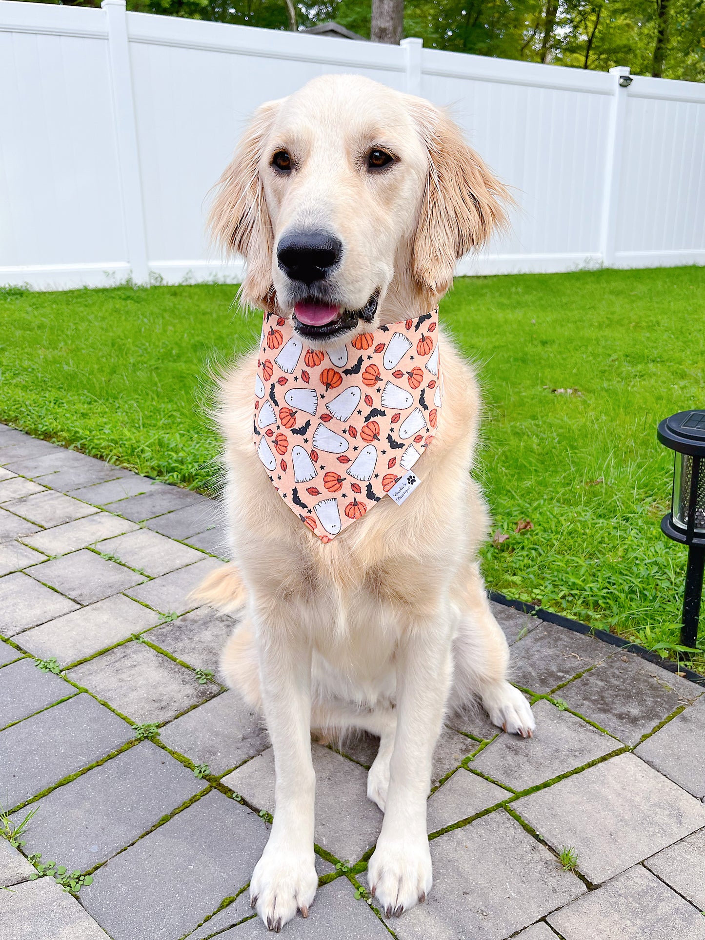 Fall Pumpkin Ghosts And Floral Bandana