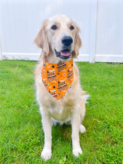 Back To Hogwarts And Seeker Training Bandana