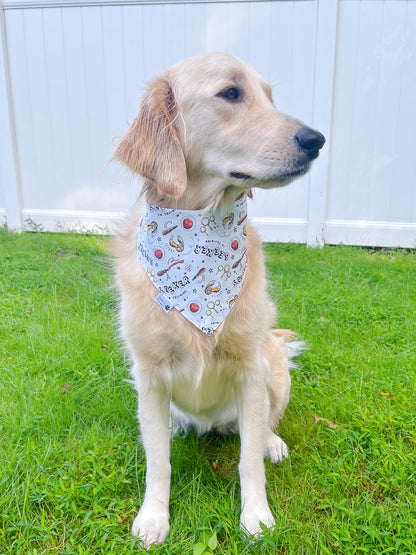 Back To Hogwarts And Seeker Training Bandana