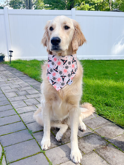 Groovy Witch Hat Bandana