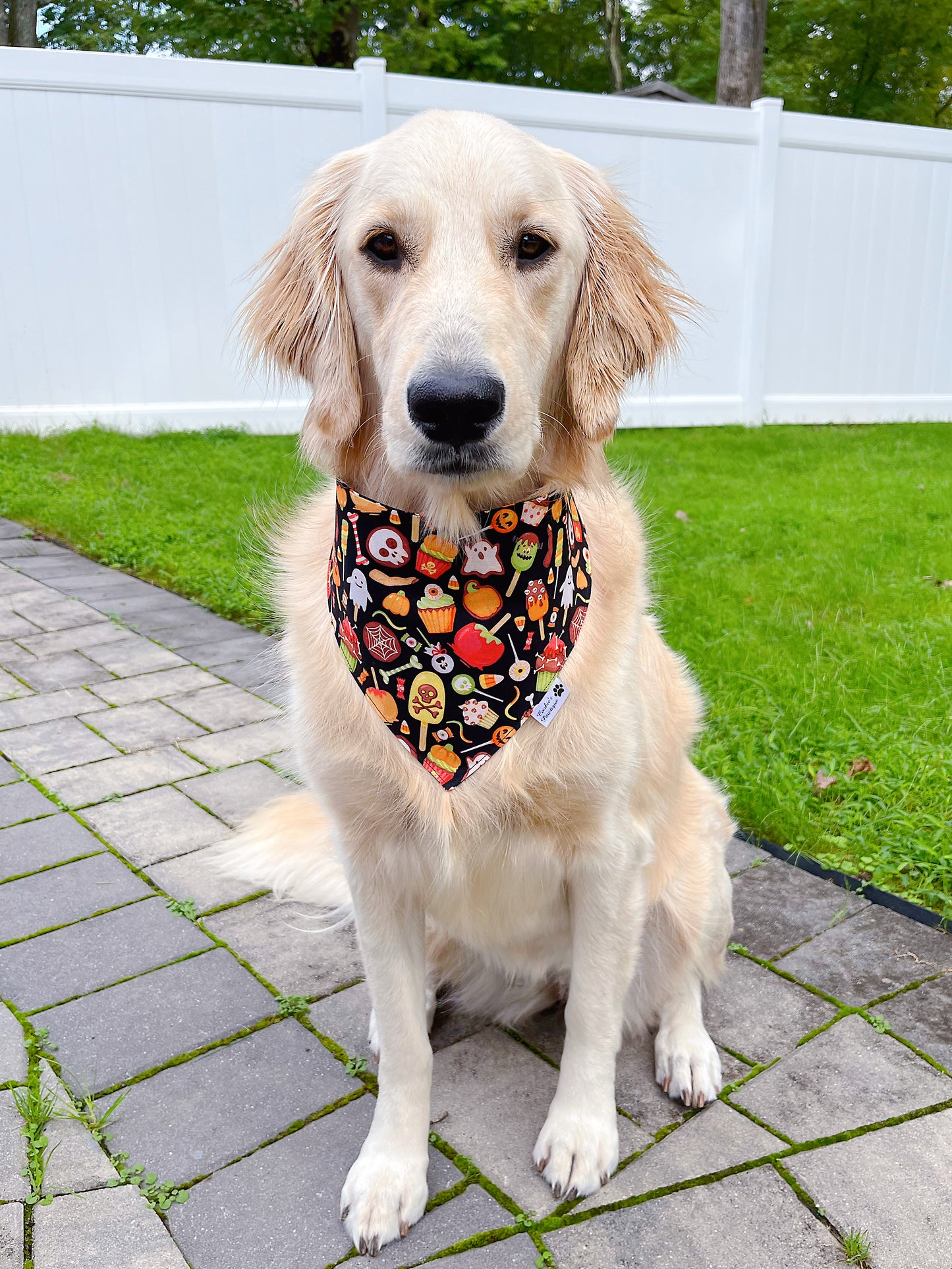 Halloween Goodies And Candy Corn Bandana