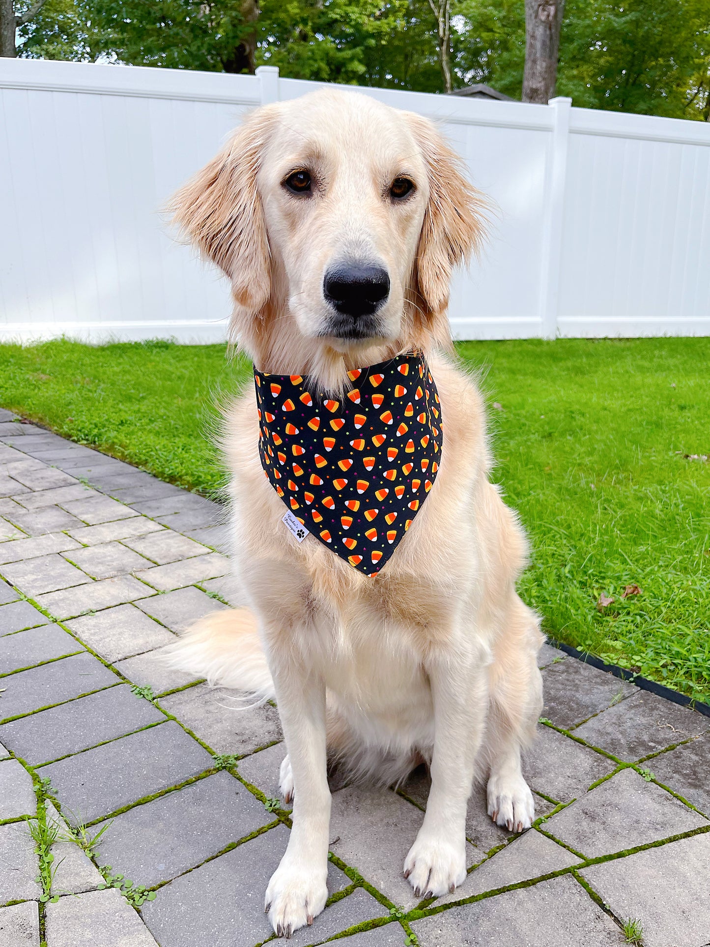 Halloween Goodies And Candy Corn Bandana