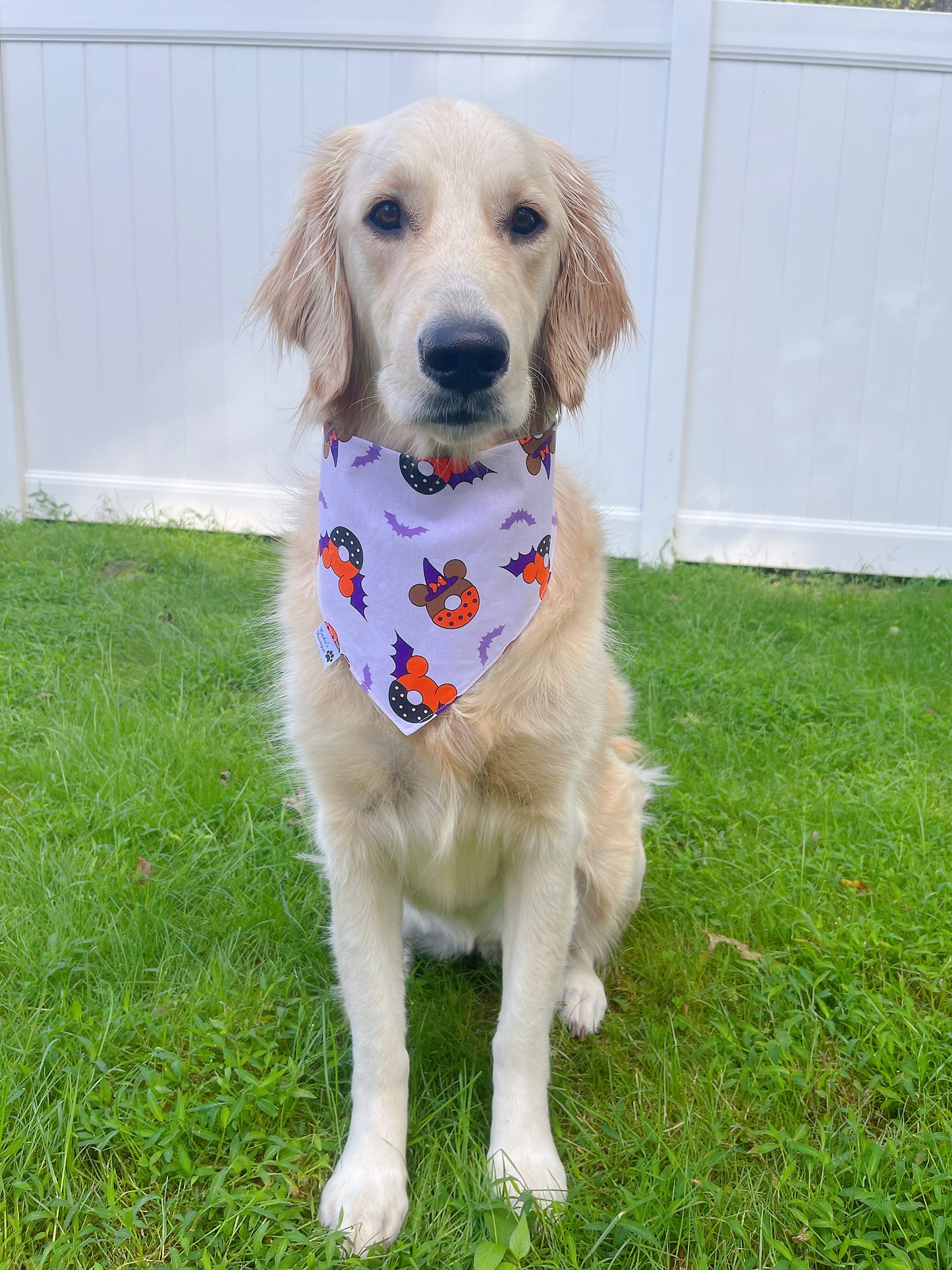 Mickey Minnie In Halloween Bandana