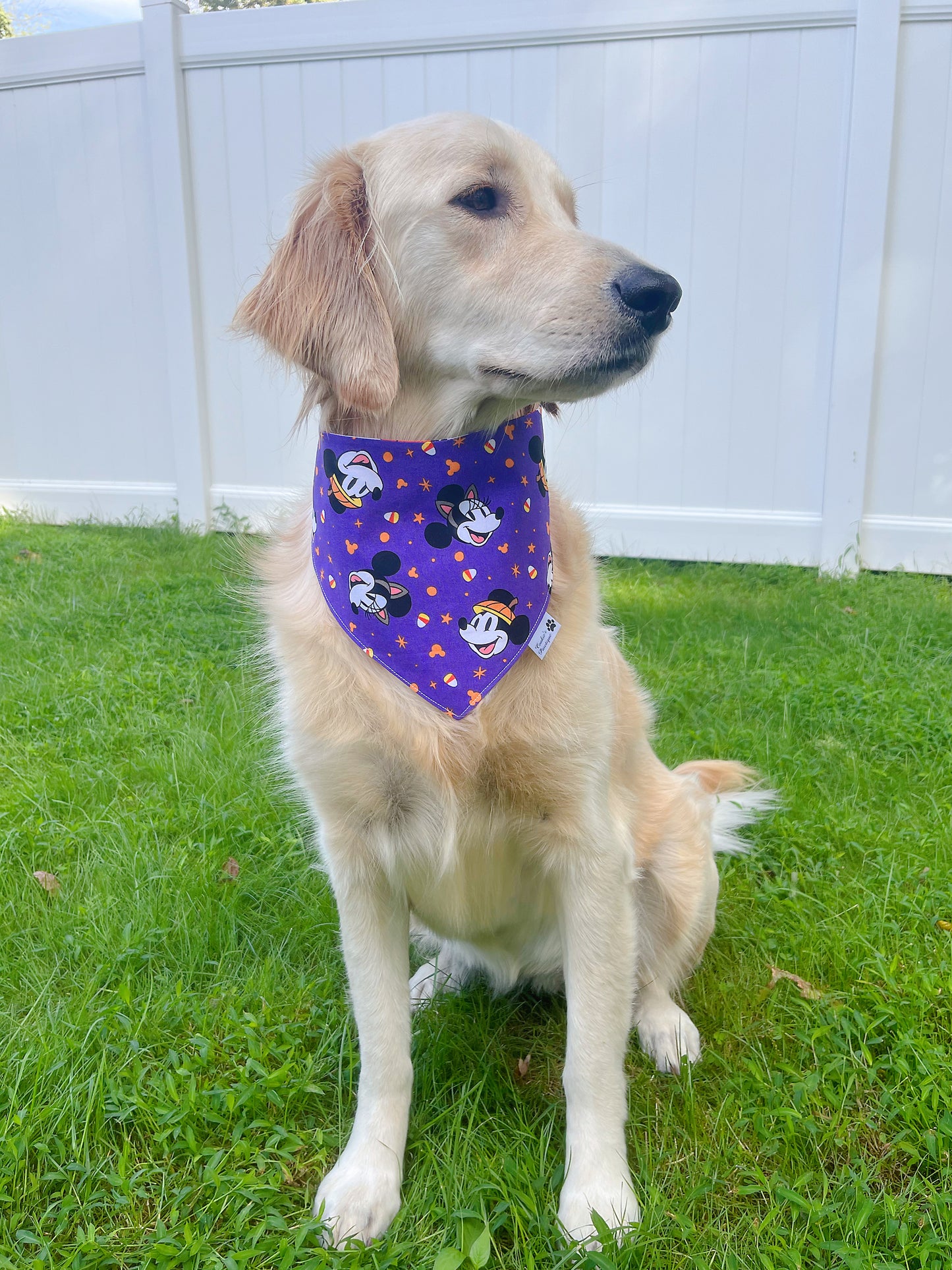 Mickey Minnie In Halloween Bandana