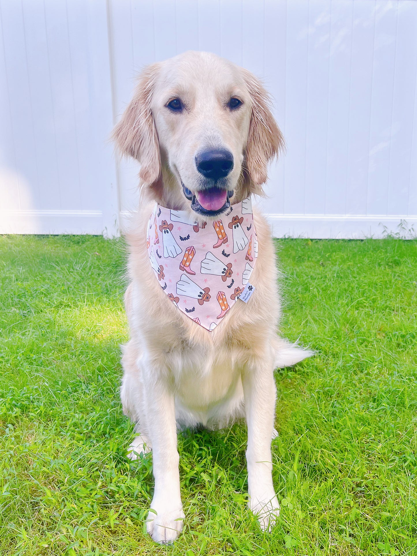 Groovy Ghost Cowboy Bandana