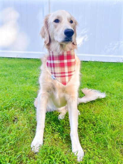 Groovy Ghost Cowboy Bandana