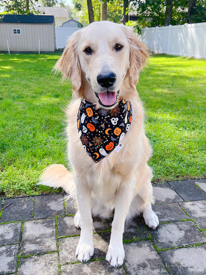 Halloween Ghost & Pumpkins Bandana