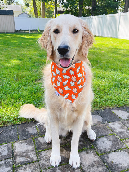 Halloween Ghost & Pumpkins Bandana