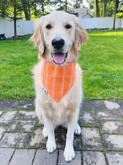 Mommy’s Little Boo Bandana - Boy Ghost