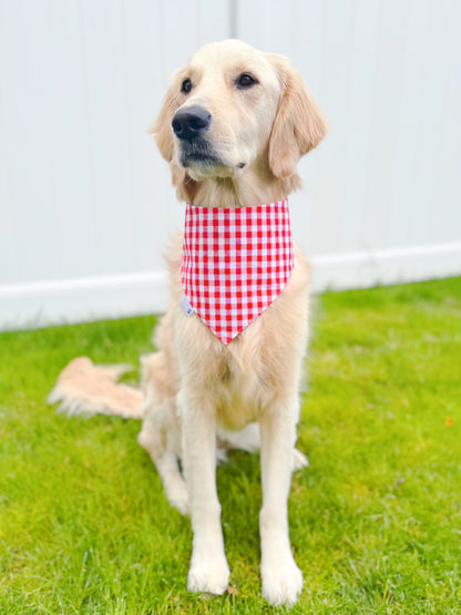 It’s BBQ Time Bandana