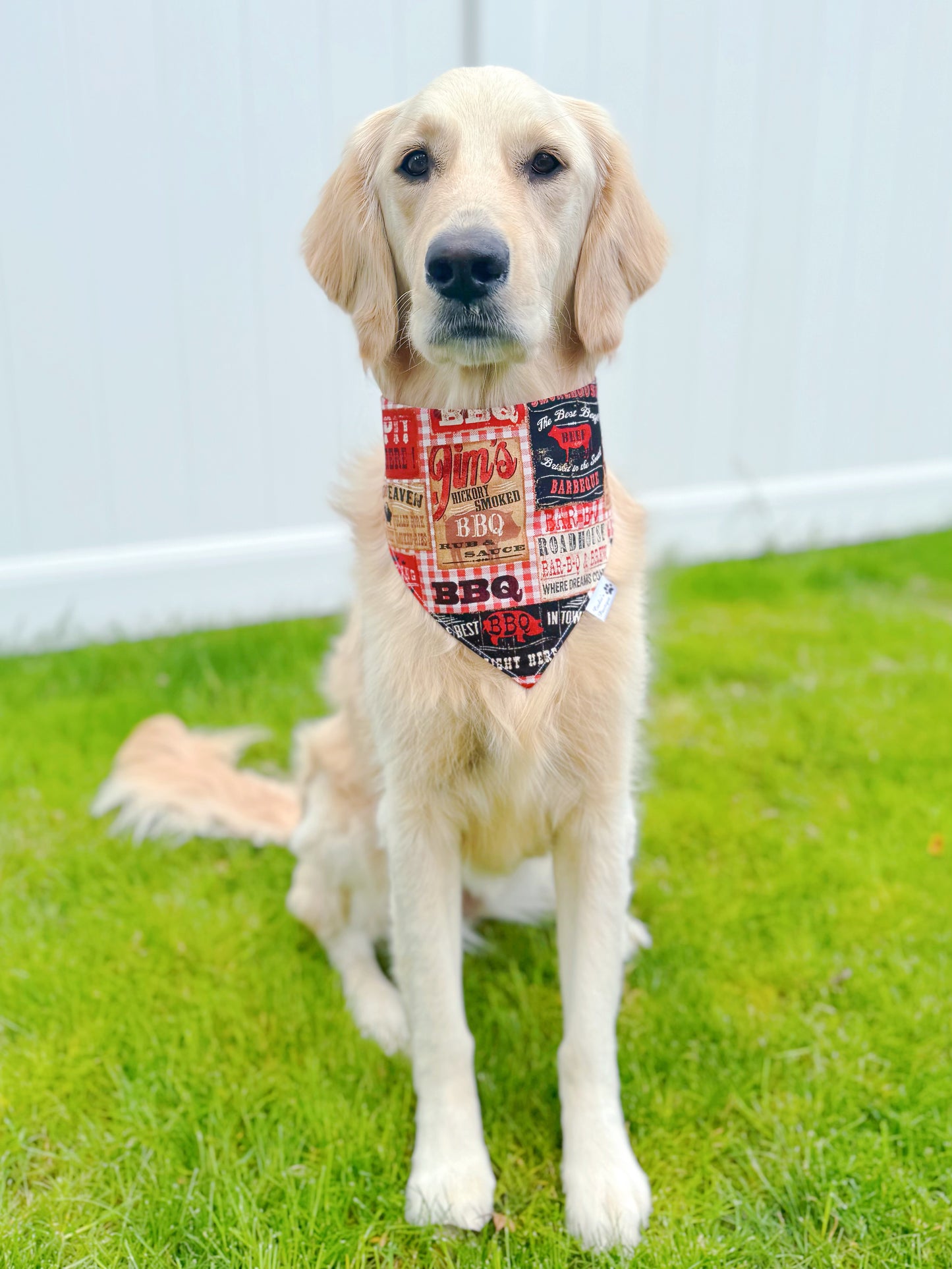 It’s BBQ Time Bandana