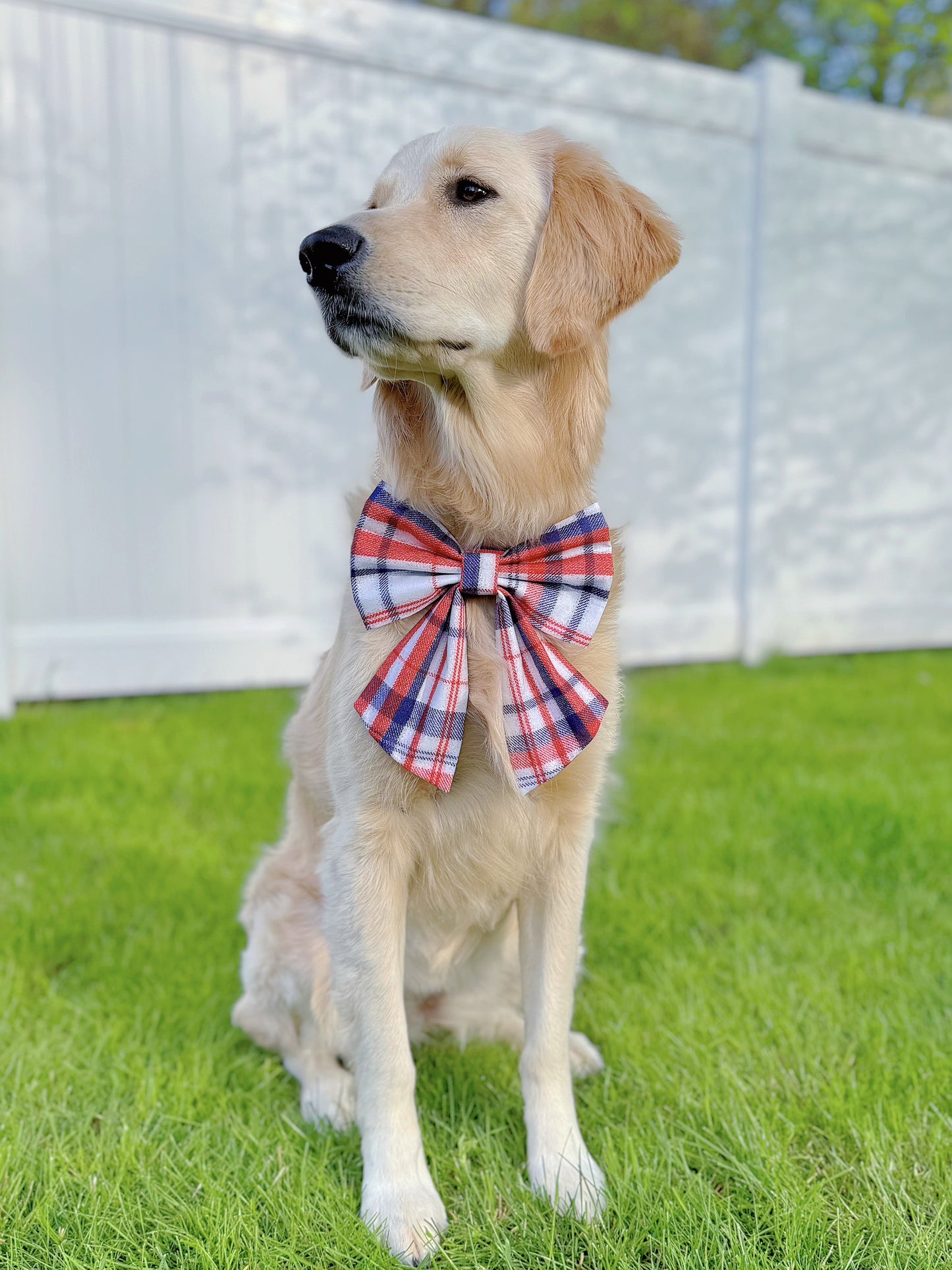 Patriotic Plaid Bow