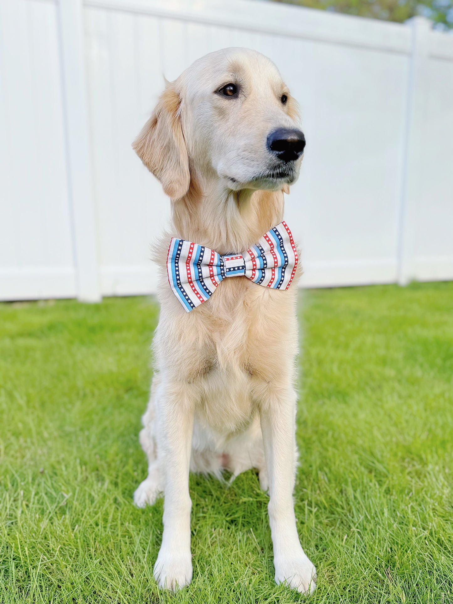 Patriotic Star Stripe Bow