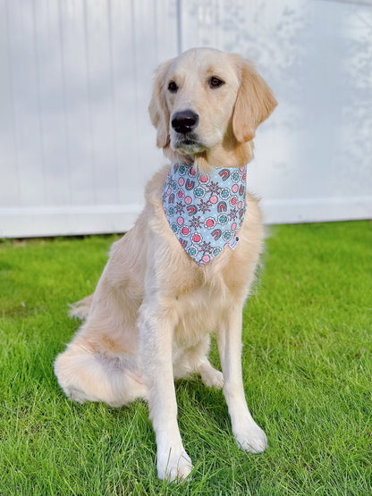 Patriotic Sunglasses Bandana