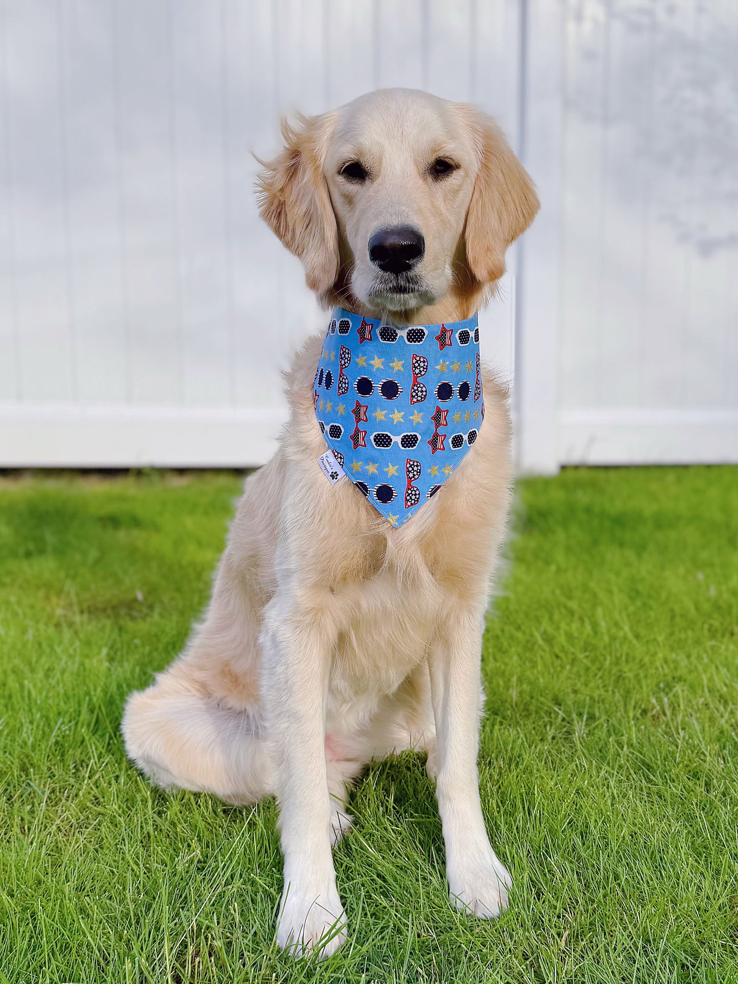 Patriotic Sunglasses Bandana