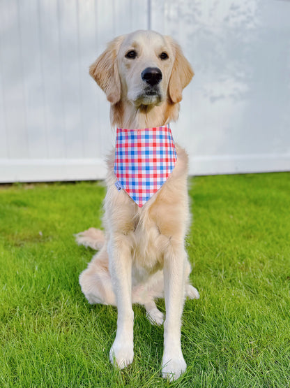 Patriotic Ice Cream And Gingham Bandana