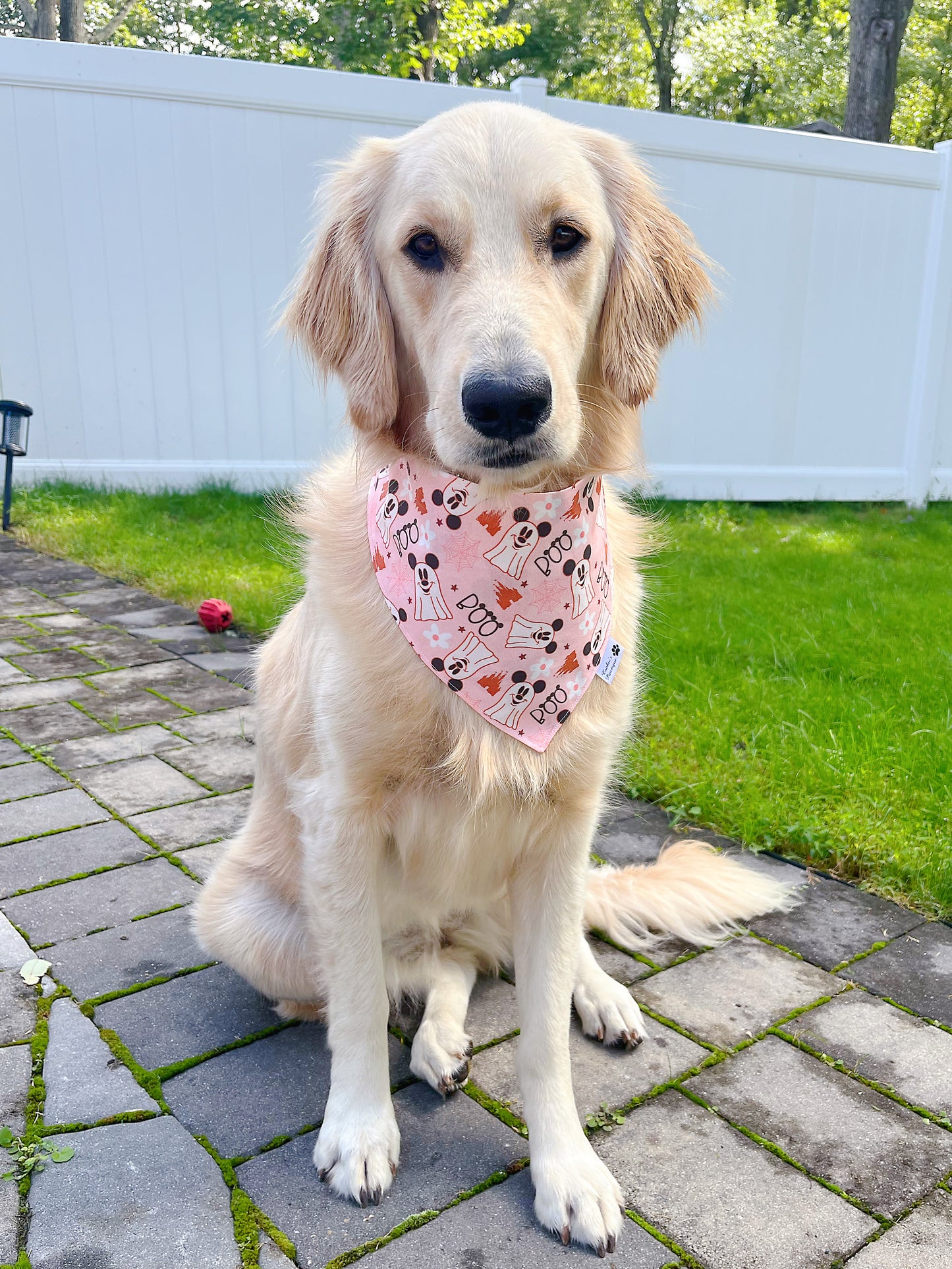 Boo Mouse Bandana