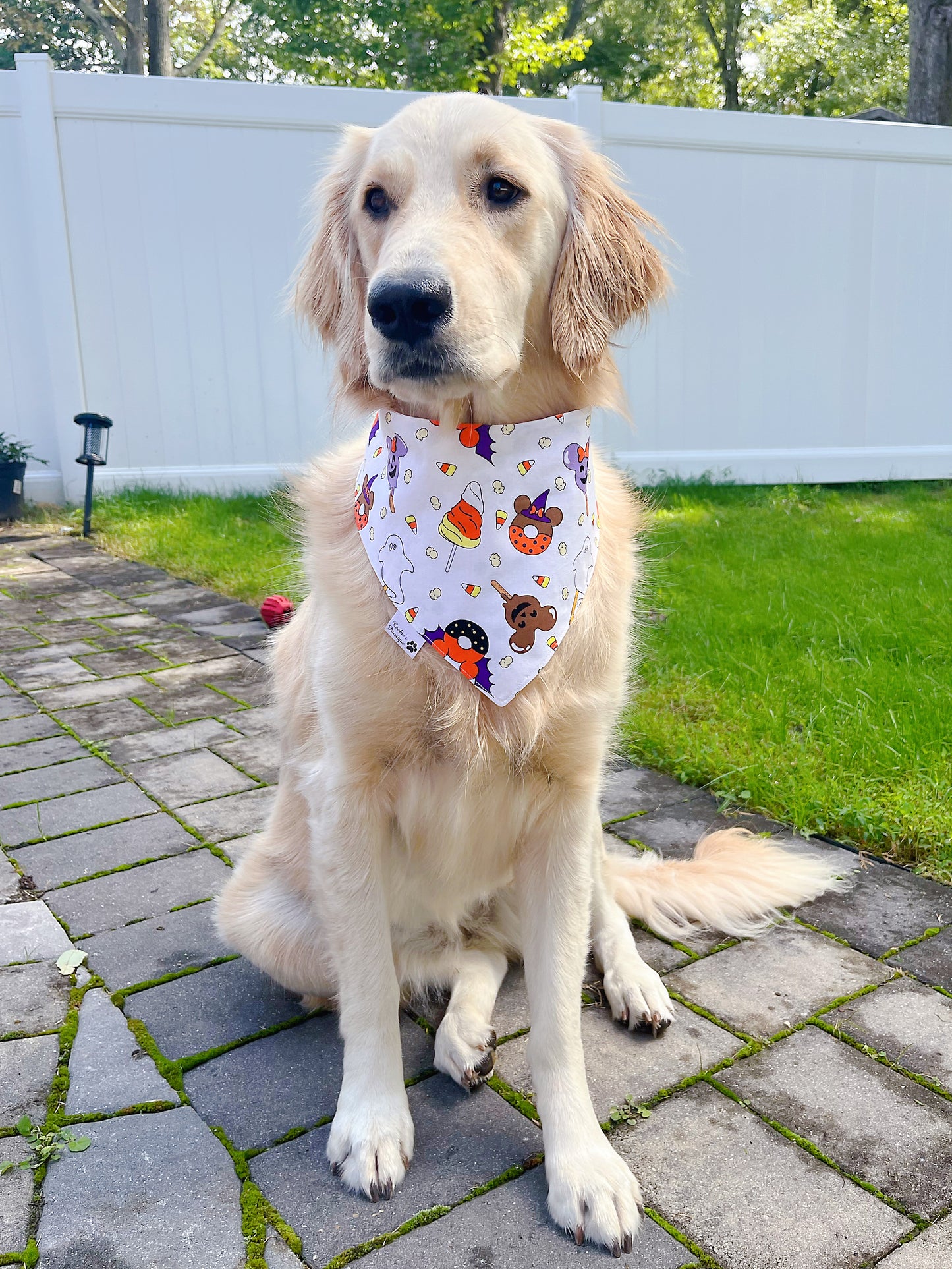 Boo Mouse Bandana