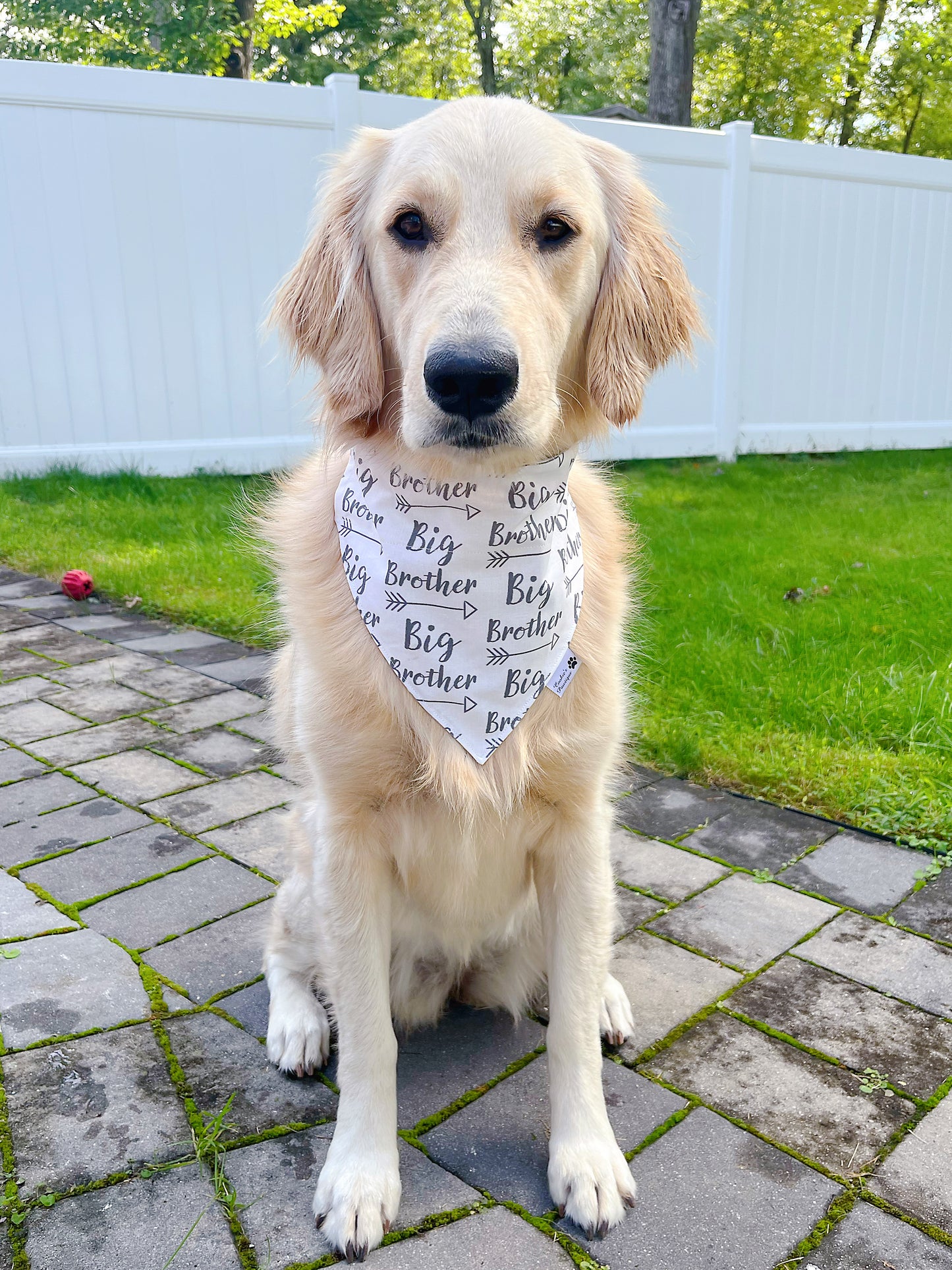 Big Brother Bandana